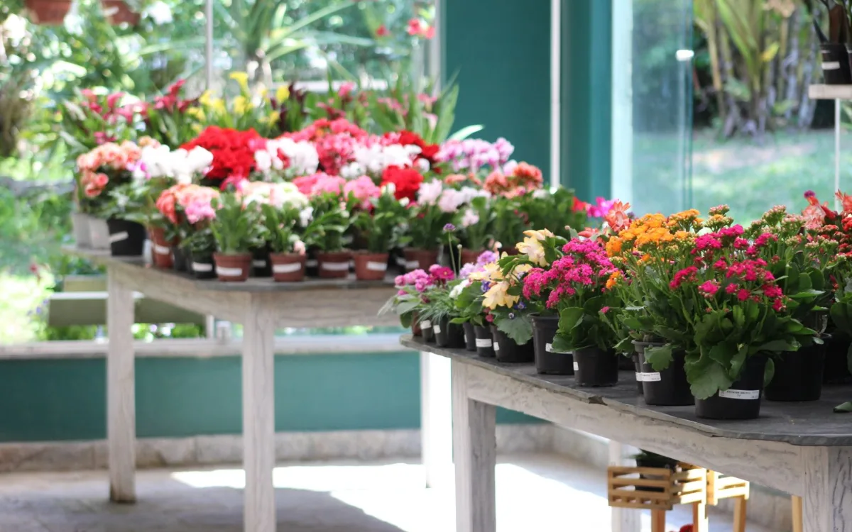 Flores em floricultura