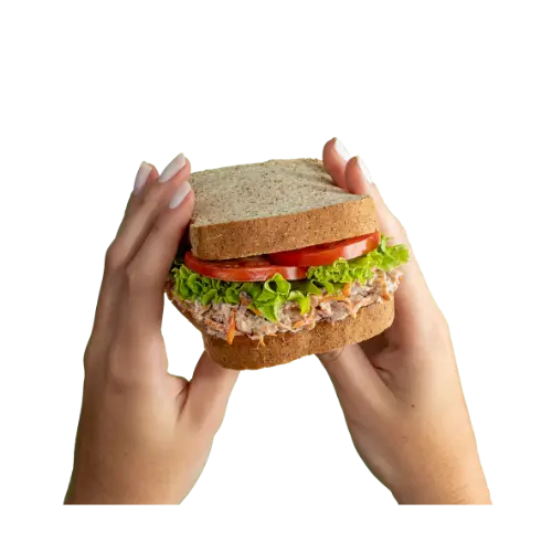 Lanche natural Sucão